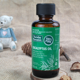 Bracing Eucalyptus Essential Oil
