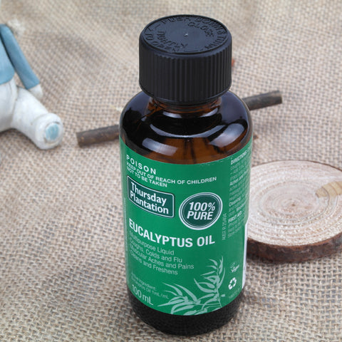 Bracing Eucalyptus Essential Oil